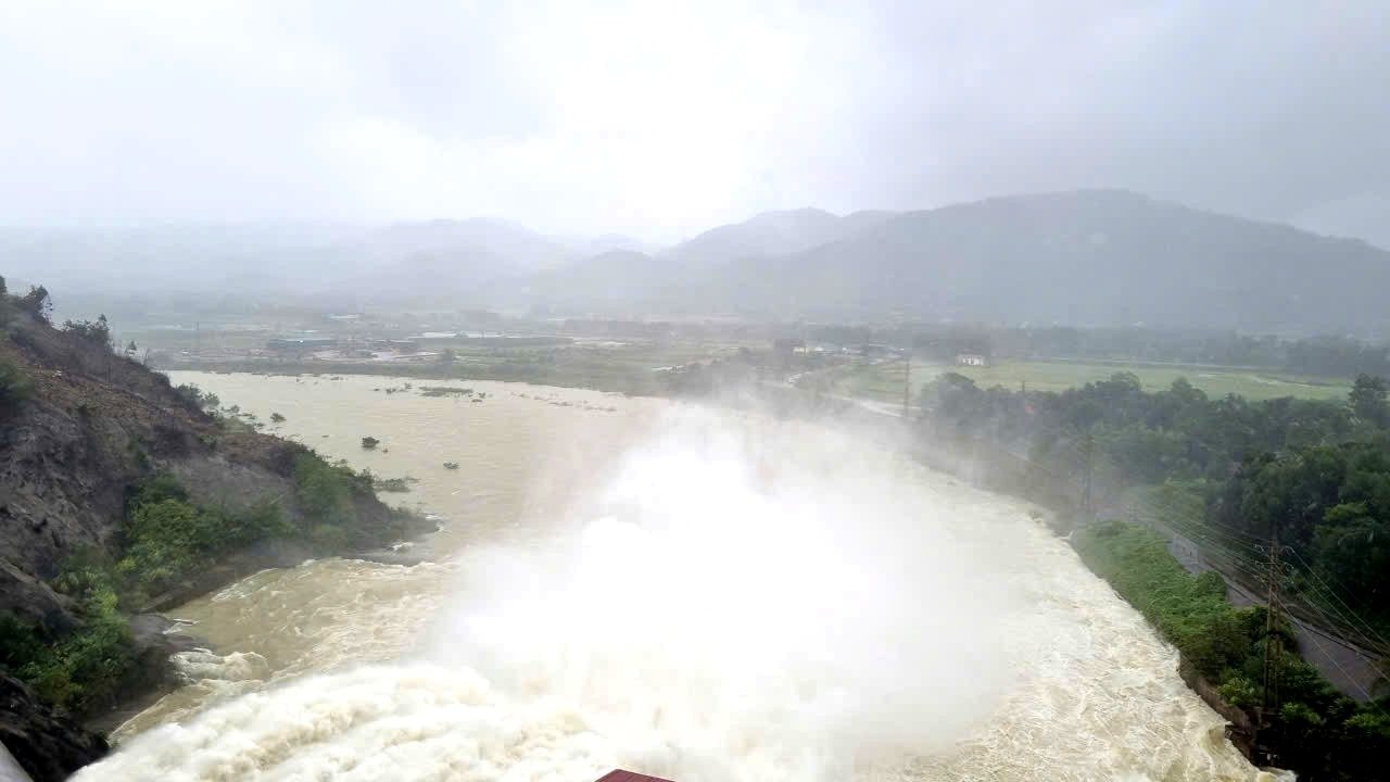 ngap_lut_333332 ngap_lut_333332.jpg
