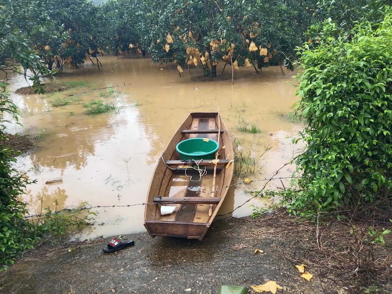 ngap_lut_6 ngap_lut_6.jpg