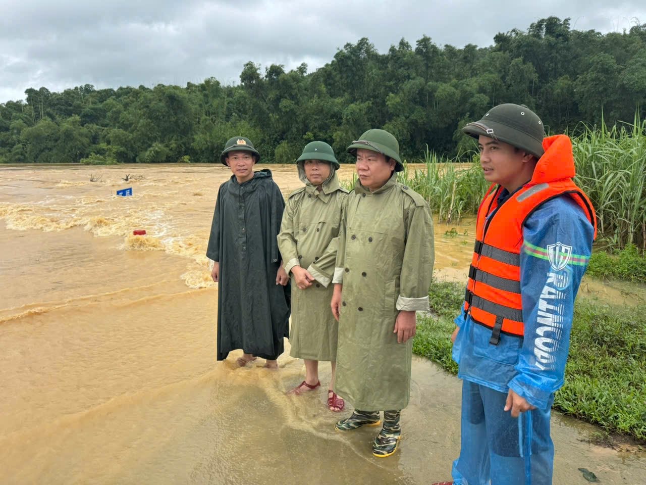 ngaplut ngaplut.jpg