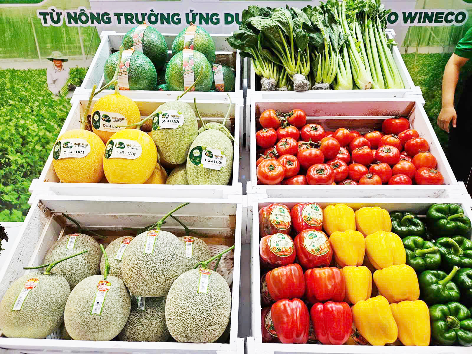 rau-cu-qua-tuoi-sach-duoc-trung-bay-bat-mat rau-cu-qua-tuoi-sach-duoc-trung-bay-bat-mat.png