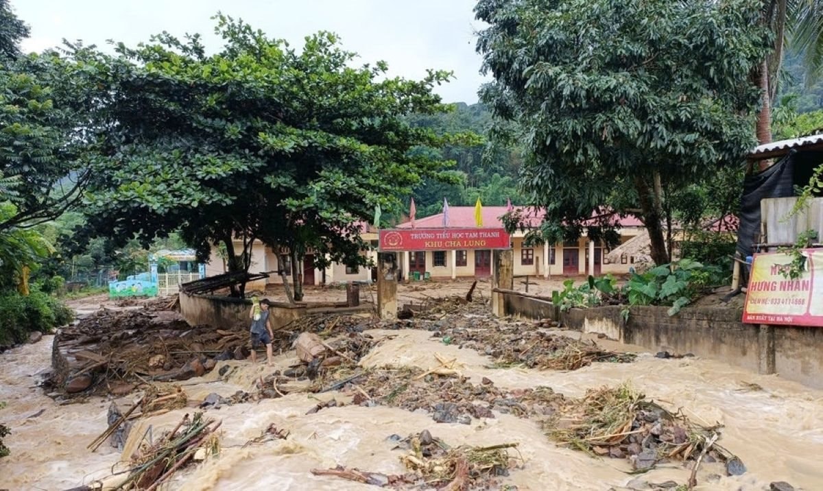 tamthanh tamthanh.jpg