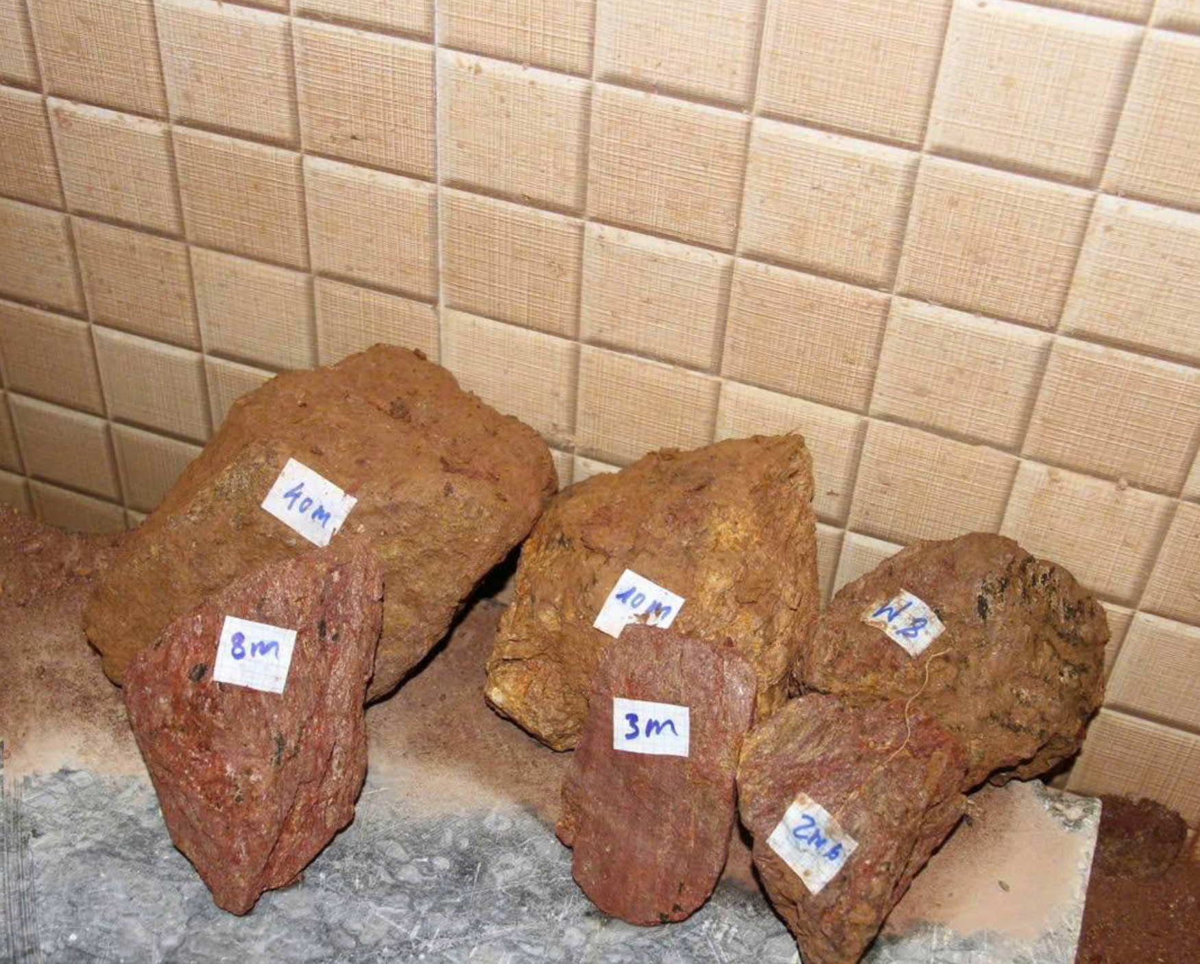 tang-vat-1 tang-vat-1.png