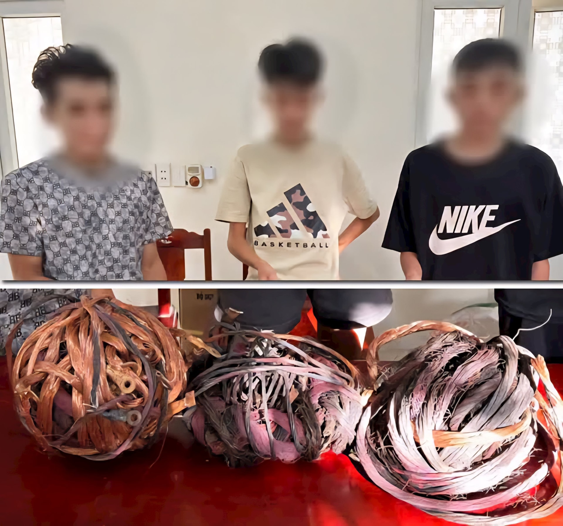 tromdaudien2 tromdaudien2.jpg