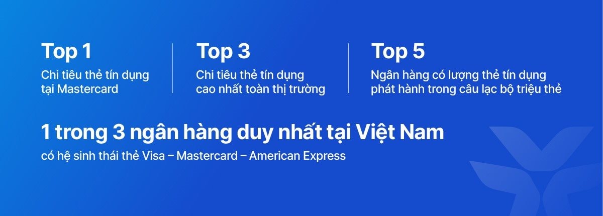 vib13-1 vib13.jpg