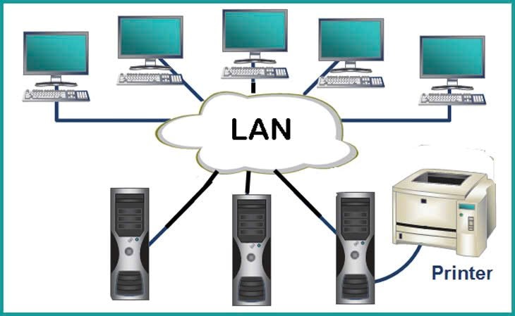 9-9-mang-lan9 9-9-mang-lan9.jpg
