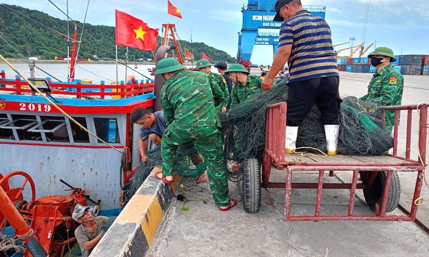 bp12 bp12.jpg