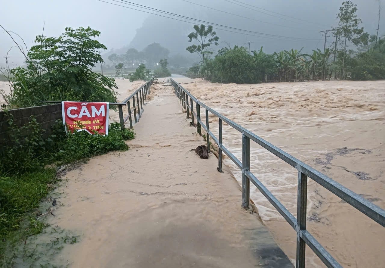 camduong camduong.jpg
