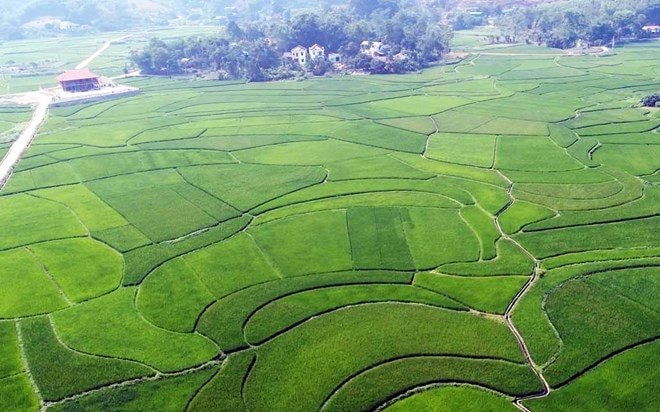 carbo-tin-chi carbo-tin-chi.jpg