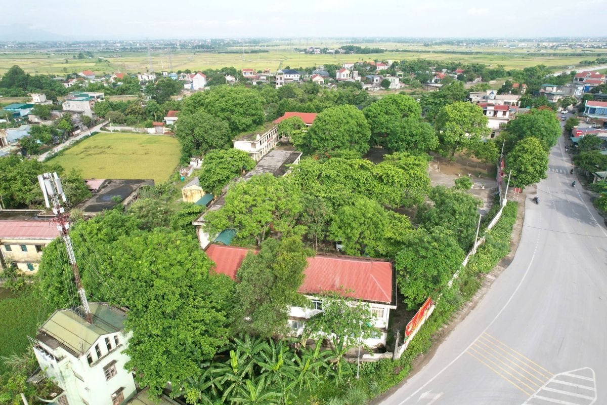 giaiphong.jpg