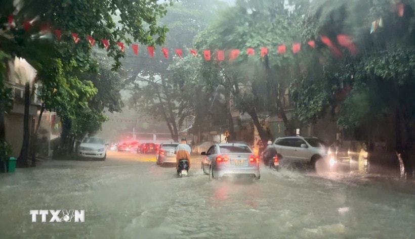 media-5 Ảnh minh họa. (Ảnh: Hoàng Hải/TTXVN)
