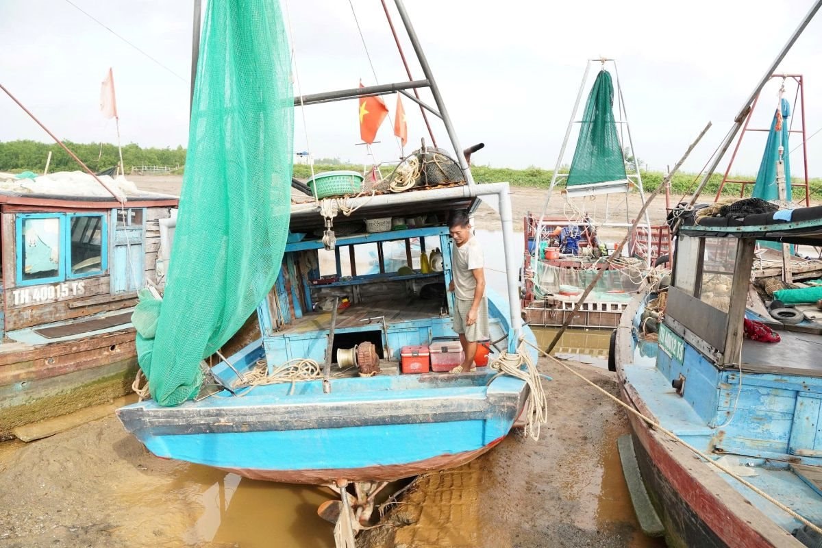 ngudan ngudan.jpg