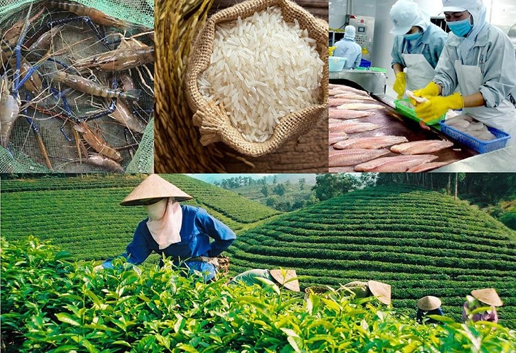 nong-lam-thuy-san nong-lam-thuy-san.jpg