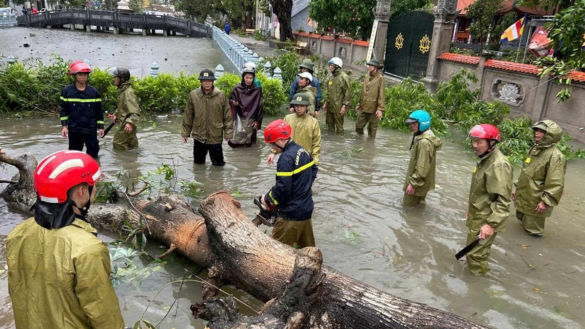 ungpho ungpho.jpg
