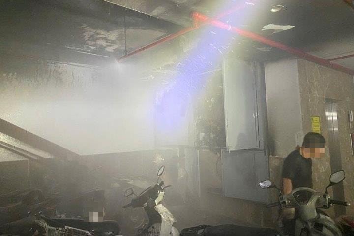 z7079901969535a163319a9b4da90086b0eb92ff933324-11224497-1 z7079901969535a163319a9b4da90086b0eb92ff933324-11224497-1-.jpg