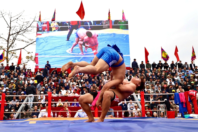 641337004-1218329590479902-7857662309882724797-n