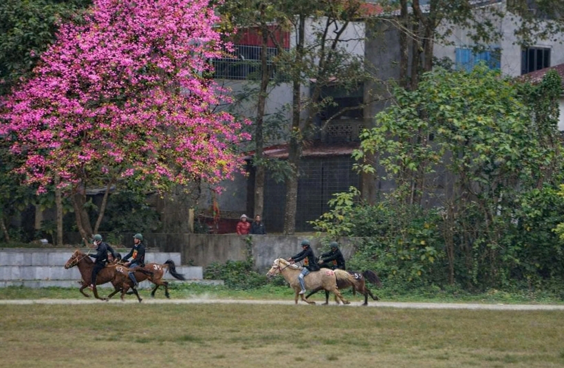 z7543816338846-1ae9ec0eacc384dcab5e189996069b3c