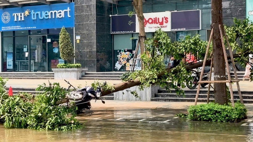 z7673460919069-8c2757418c2ef47c20a6322e7bccb93b