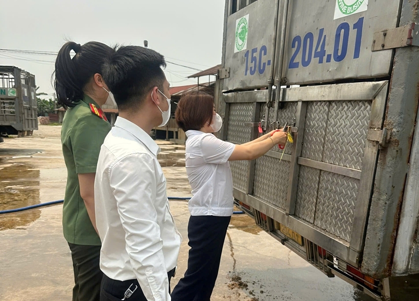 10361685-da59-4571-bee3-c30bd4f07260-7474b8fb13284652b94590c65a7903a3