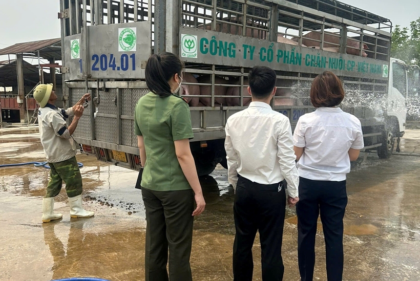 5c1e20c9-26b6-4a23-acc2-15ac3b03c781-fa7e9101eb504a3d9cb4d4e672a08880