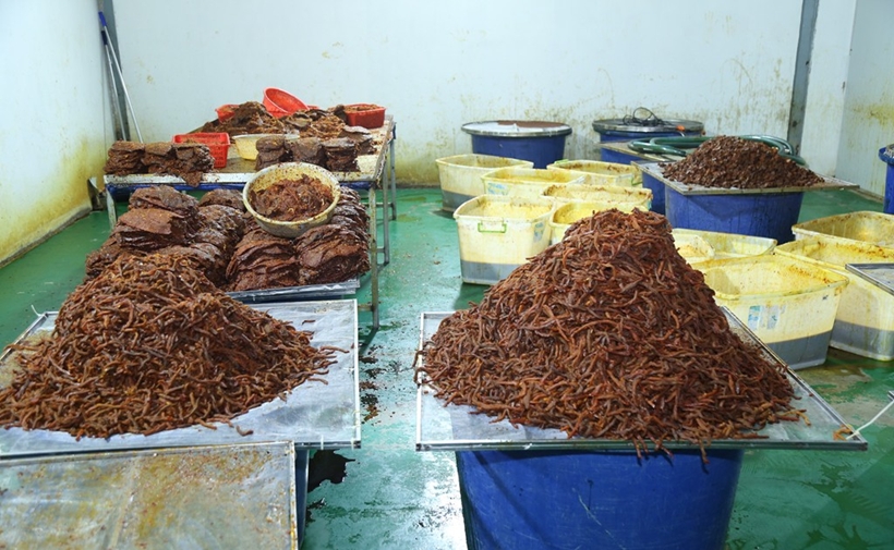 nguyen-lieu-duoc-che-bien